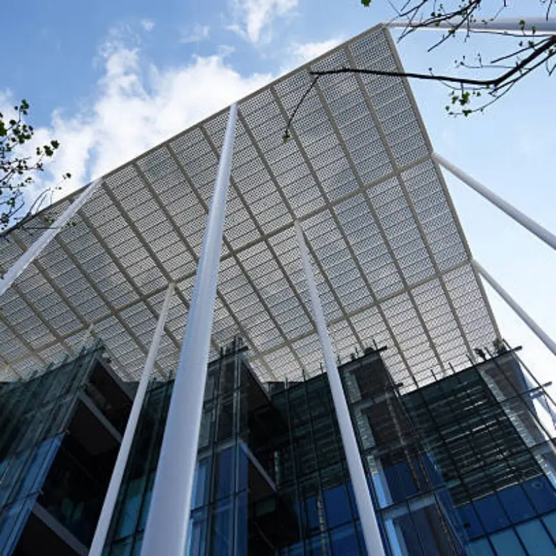 Aluminum Wall Panels Durable and Stylish Solutions for Building Exteriors (3).jpg